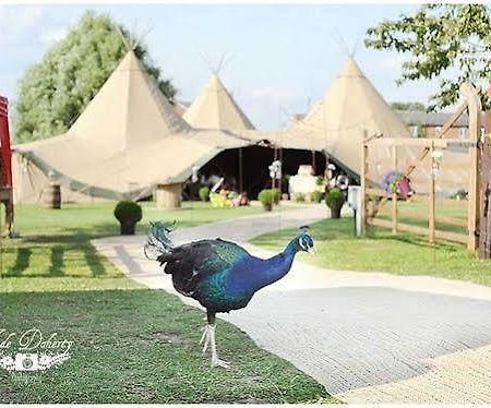 Skipbridge Farm Shepherds Huts Campground Green Hammerton Exteriér fotografie