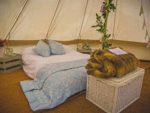 Skipbridge Farm Shepherds Huts Campground Green Hammerton Exteriér fotografie