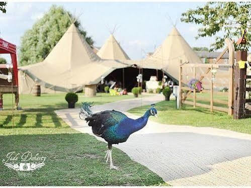 Skipbridge Farm Shepherds Huts Campground Green Hammerton Exteriér fotografie