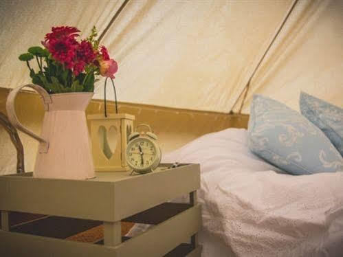 Skipbridge Farm Shepherds Huts Campground Green Hammerton Exteriér fotografie