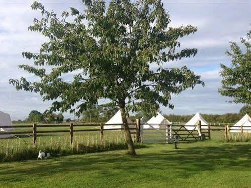 Skipbridge Farm Shepherds Huts Campground Green Hammerton Exteriér fotografie